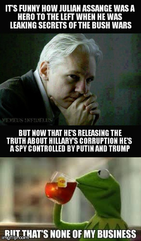 assange kermit | image tagged in politics,assange,trump,hillary,putin,but thats none of my business | made w/ Imgflip meme maker