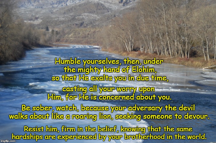 Humble yourselves, then, under the mighty hand of Elohim, so that He exalts you in due time, casting all your worry upon Him, for He is concerned about you. Be sober, watch, because your adversary the devil walks about like a roaring lion, seeking someone to devour. Resist him, firm in the belief, knowing that the same hardships are experienced by your brotherhood in the world. | image tagged in original meme | made w/ Imgflip meme maker