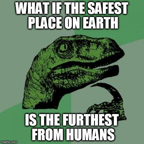 I believe that's why animals escape from us. | WHAT IF THE SAFEST PLACE ON EARTH; IS THE FURTHEST FROM HUMANS | image tagged in memes,philosoraptor | made w/ Imgflip meme maker