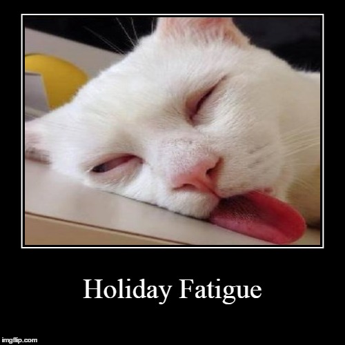 image tagged in funny,demotivationals,holidays,tired cat | made w/ Imgflip demotivational maker