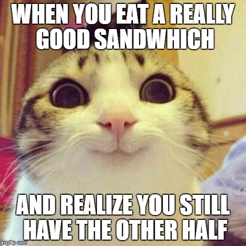 Smiling Cat | WHEN YOU EAT A REALLY GOOD SANDWHICH; AND REALIZE YOU STILL HAVE THE OTHER HALF | image tagged in memes,smiling cat | made w/ Imgflip meme maker