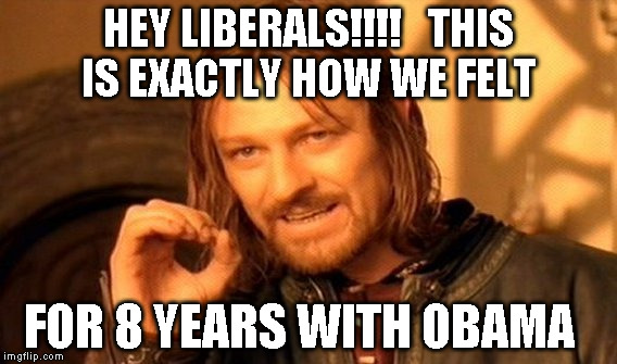 One Does Not Simply | HEY LIBERALS!!!!   THIS IS EXACTLY HOW WE FELT; FOR 8 YEARS WITH OBAMA | image tagged in memes,one does not simply | made w/ Imgflip meme maker