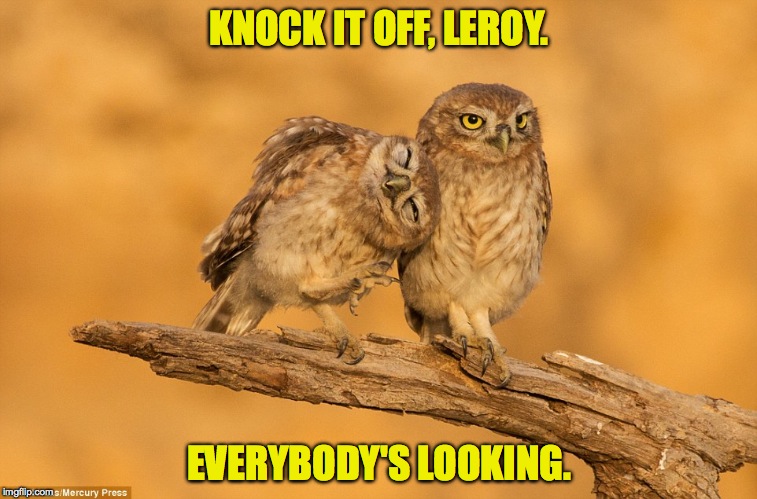 feel the love | KNOCK IT OFF, LEROY. EVERYBODY'S LOOKING. | image tagged in not | made w/ Imgflip meme maker