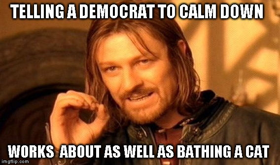 One Does Not Simply Meme | TELLING A DEMOCRAT TO CALM DOWN; WORKS  ABOUT AS WELL AS BATHING A CAT | image tagged in memes,one does not simply | made w/ Imgflip meme maker