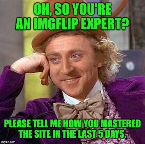 Creepy Condescending Wonka | OH, SO YOU'RE AN IMGFLIP EXPERT? PLEASE TELL ME HOW YOU MASTERED THE SITE IN THE LAST 5 DAYS. | image tagged in memes,creepy condescending wonka | made w/ Imgflip meme maker