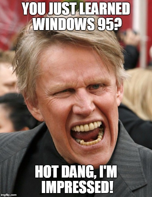 I'M IMPRESSED |  YOU JUST LEARNED WINDOWS 95? HOT DANG, I'M IMPRESSED! | image tagged in not impressed,gary busey | made w/ Imgflip meme maker