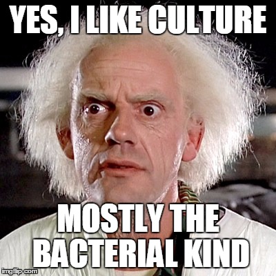CULTURE |  YES, I LIKE CULTURE; MOSTLY THE BACTERIAL KIND | image tagged in doc emmett brown,culture | made w/ Imgflip meme maker
