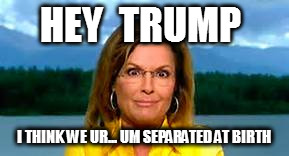 palin | HEY  TRUMP; I THINK WE UR... UM SEPARATED AT BIRTH | image tagged in anti trump | made w/ Imgflip meme maker