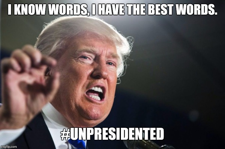 donald trump |  I KNOW WORDS, I HAVE THE BEST WORDS. #UNPRESIDENTED | image tagged in donald trump | made w/ Imgflip meme maker