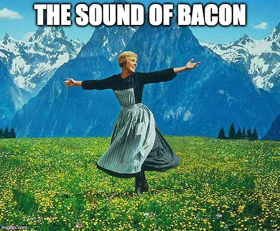 The feeling you get when you hear... | THE SOUND OF BACON | image tagged in the sound of music,bacon,sound,the feeling,when you | made w/ Imgflip meme maker