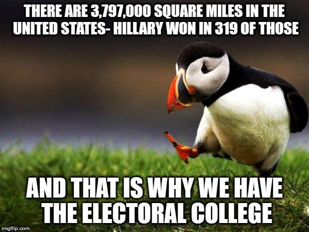 Unpopular Opinion Puffin | THERE ARE 3,797,000 SQUARE MILES IN THE UNITED STATES- HILLARY WON IN 319 OF THOSE; AND THAT IS WHY WE HAVE THE ELECTORAL COLLEGE | image tagged in memes,unpopular opinion puffin | made w/ Imgflip meme maker