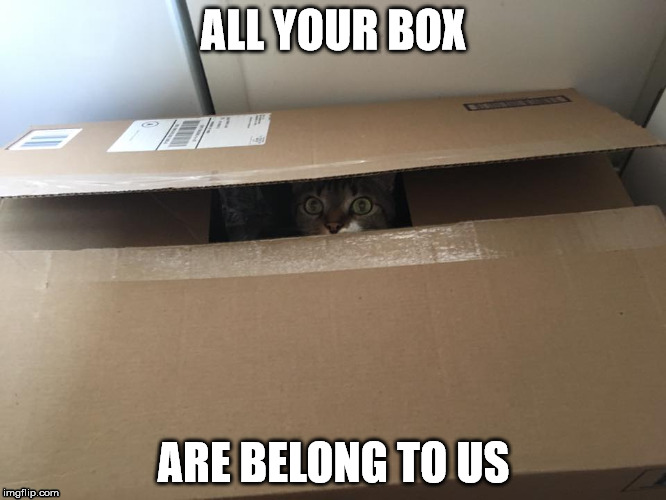 All Your Box Are Belong To Us | ALL YOUR BOX; ARE BELONG TO US | image tagged in cat,box,base | made w/ Imgflip meme maker