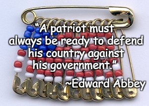Safety Pins | “A patriot must always be ready to defend his country against his government.”; ~Edward Abbey | image tagged in united flag,edward abbey,patriot,government,resist,activism | made w/ Imgflip meme maker