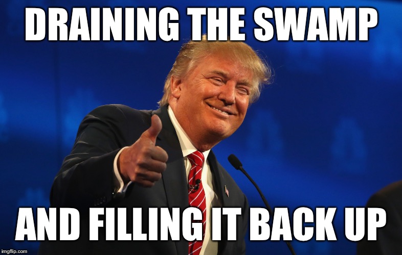 The Swamp | DRAINING THE SWAMP; AND FILLING IT BACK UP | image tagged in trump,drain the swamp | made w/ Imgflip meme maker