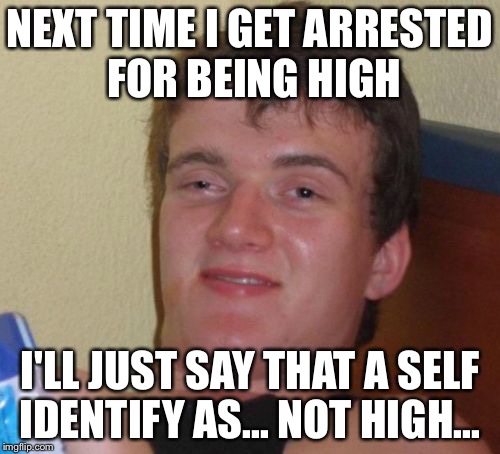 10 Guy Meme | NEXT TIME I GET ARRESTED FOR BEING HIGH; I'LL JUST SAY THAT A SELF IDENTIFY AS... NOT HIGH... | image tagged in memes,10 guy | made w/ Imgflip meme maker