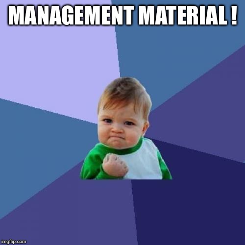 Success Kid Meme | MANAGEMENT MATERIAL ! | image tagged in memes,success kid | made w/ Imgflip meme maker