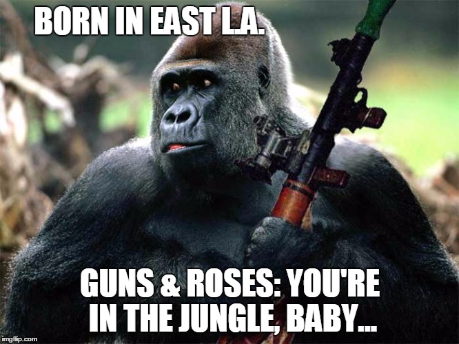 682ND ALPHA ENGINEERS: JUNGLE WARFARE | BORN IN EAST L.A. GUNS & ROSES: YOU'RE IN THE JUNGLE, BABY... | image tagged in 682nd alpha engineers jungle warfare | made w/ Imgflip meme maker
