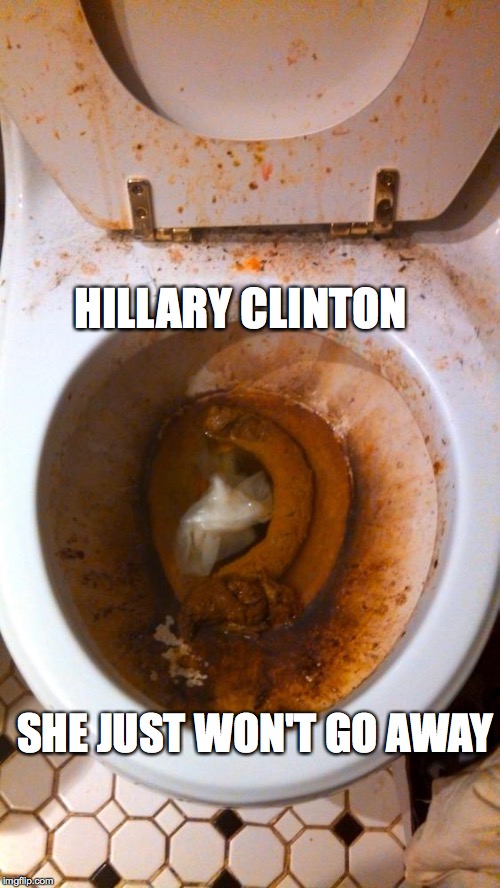 Toilet | HILLARY CLINTON; SHE JUST WON'T GO AWAY | image tagged in toilet,hillary clinton,hillary,election,trump,hacked | made w/ Imgflip meme maker