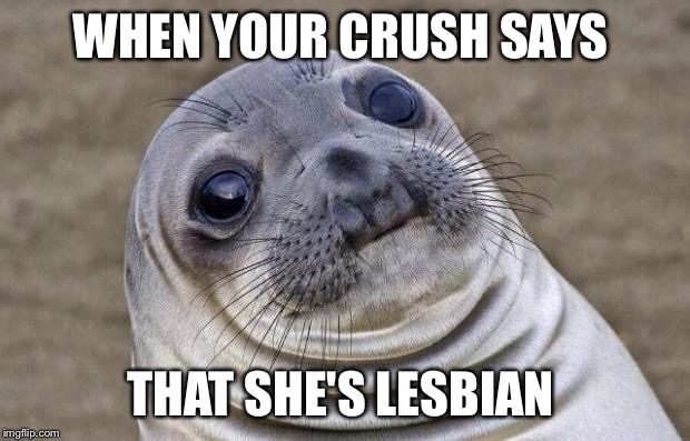 Awkward Moment Sealion | WHEN YOUR CRUSH SAYS; THAT SHE'S LESBIAN | image tagged in memes,awkward moment sealion | made w/ Imgflip meme maker