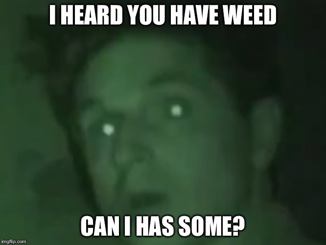 Zak Bagans Hears Something | I HEARD YOU HAVE WEED; CAN I HAS SOME? | image tagged in zak bagans ghost adventures,ghost adventures | made w/ Imgflip meme maker