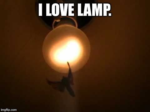 I love lamp. | I LOVE LAMP. | image tagged in funny,memes,funny memes,funny meme,first world problems | made w/ Imgflip meme maker