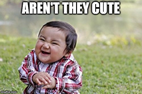 Evil Toddler Meme | AREN'T THEY CUTE | image tagged in memes,evil toddler | made w/ Imgflip meme maker