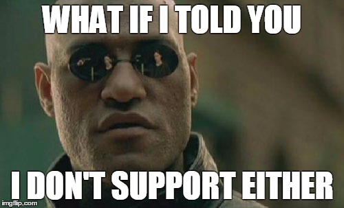 Matrix Morpheus Meme | WHAT IF I TOLD YOU; I DON'T SUPPORT EITHER | image tagged in memes,matrix morpheus | made w/ Imgflip meme maker