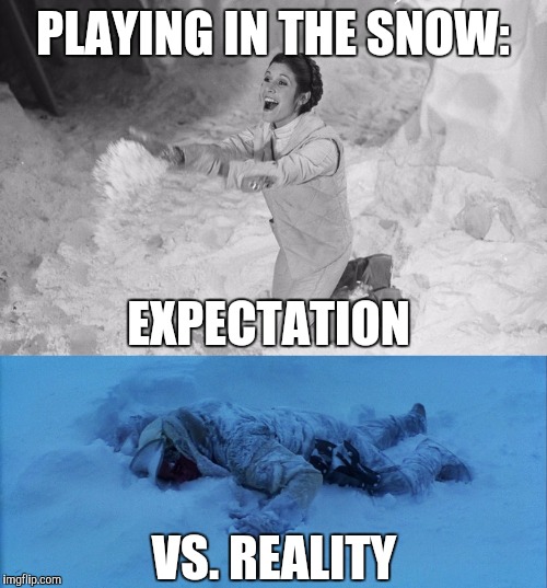 Snow Wars | PLAYING IN THE SNOW:; EXPECTATION; VS. REALITY | image tagged in star wars,meme,snow | made w/ Imgflip meme maker