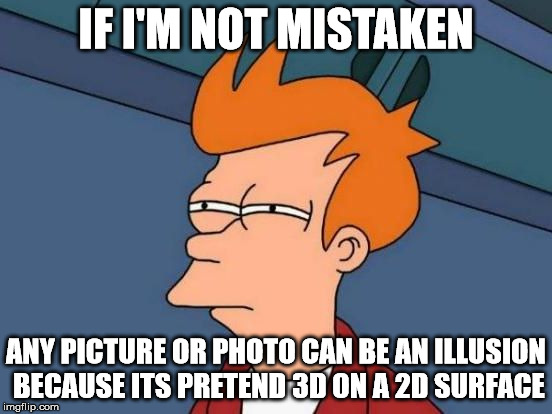 Futurama Fry Reverse | IF I'M NOT MISTAKEN ANY PICTURE OR PHOTO CAN BE AN ILLUSION BECAUSE ITS PRETEND 3D ON A 2D SURFACE | image tagged in futurama fry reverse | made w/ Imgflip meme maker