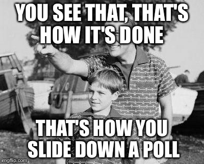 Look Son Meme | YOU SEE THAT, THAT'S HOW IT'S DONE; THAT'S HOW YOU SLIDE DOWN A POLL | image tagged in memes,look son | made w/ Imgflip meme maker