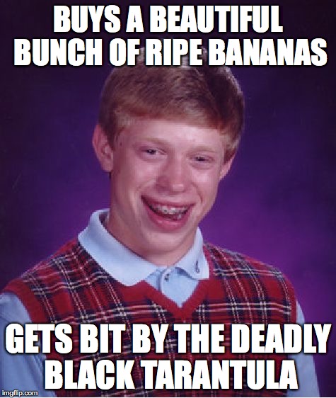 Day-O, me say Da,a,a-O... | BUYS A BEAUTIFUL BUNCH OF RIPE BANANAS GETS BIT BY THE DEADLY BLACK TARANTULA | image tagged in memes,bad luck brian,bananas,tarantula,deadly | made w/ Imgflip meme maker