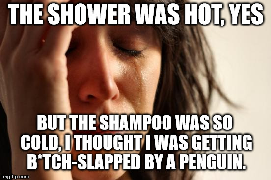 First World Problems Meme | THE SHOWER WAS HOT, YES; BUT THE SHAMPOO WAS SO COLD, I THOUGHT I WAS GETTING B*TCH-SLAPPED BY A PENGUIN. | image tagged in memes,first world problems | made w/ Imgflip meme maker