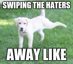 SWIPING THE HATERS; AWAY LIKE | image tagged in dog,haters | made w/ Imgflip meme maker