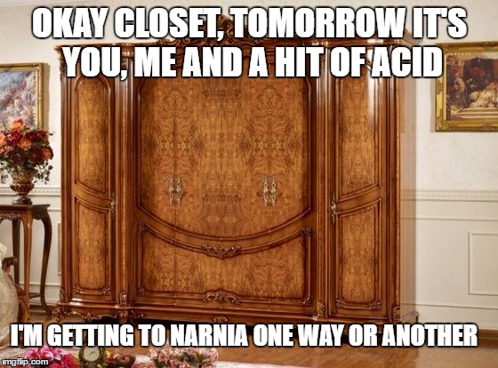 Narnia | OKAY CLOSET, TOMORROW IT'S YOU, ME AND A HIT OF ACID; I'M GETTING TO NARNIA ONE WAY OR ANOTHER | image tagged in narnia,fairy tales,stories,psychedelics,acid,lsd | made w/ Imgflip meme maker