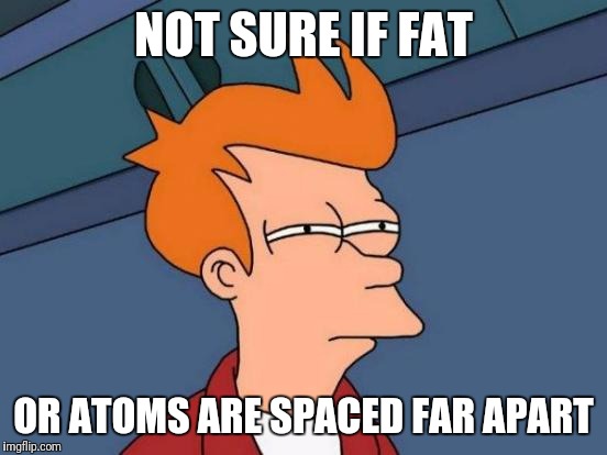 Future Physicist Fry | NOT SURE IF FAT; OR ATOMS ARE SPACED FAR APART | image tagged in memes,futurama fry | made w/ Imgflip meme maker