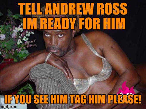 READY  | TELL ANDREW ROSS IM READY FOR HIM; IF YOU SEE HIM TAG HIM PLEASE! | image tagged in hot girl | made w/ Imgflip meme maker