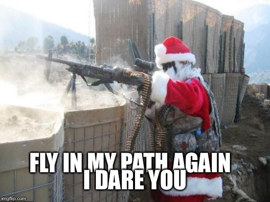 FLY IN MY PATH AGAIN I DARE YOU | made w/ Imgflip meme maker