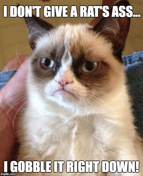 Grumpy Cat is Stingy | I DON'T GIVE A RAT'S ASS... I GOBBLE IT RIGHT DOWN! | image tagged in memes,grumpy cat,funny memes | made w/ Imgflip meme maker