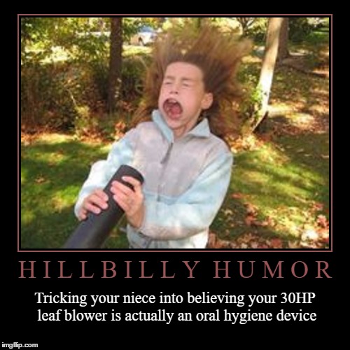 Hillbilly Humor | image tagged in funny,demotivationals,wmp,hillbilly | made w/ Imgflip demotivational maker
