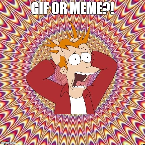 GIF OR MEME?! | image tagged in freaked out fry | made w/ Imgflip meme maker