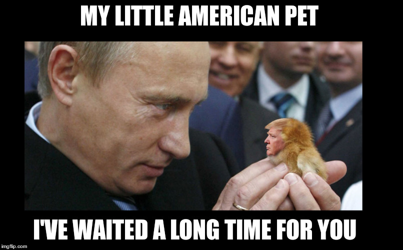 Putin's Pet | MY LITTLE AMERICAN PET; I'VE WAITED A LONG TIME FOR YOU | image tagged in trump,putin,russia,fascist,republican,fools | made w/ Imgflip meme maker