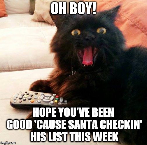 Have you 'naughty' or 'nice'? | OH BOY! HOPE YOU'VE BEEN GOOD 'CAUSE SANTA CHECKIN' HIS LIST THIS WEEK | image tagged in oh boy cat,memes,christmas,list,santa claus,cats | made w/ Imgflip meme maker