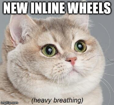 Heavy Breathing Cat | NEW INLINE WHEELS | image tagged in memes,heavy breathing cat | made w/ Imgflip meme maker