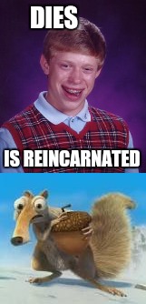Bad luck Brian  | DIES; IS REINCARNATED | image tagged in bad luck brian | made w/ Imgflip meme maker