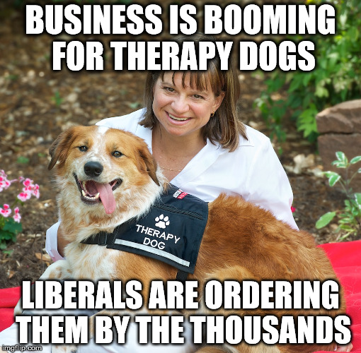 Therapy Dogs for Liberals | BUSINESS IS BOOMING FOR THERAPY DOGS; LIBERALS ARE ORDERING THEM BY THE THOUSANDS | image tagged in dogs | made w/ Imgflip meme maker