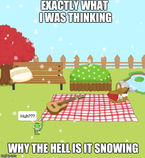 EXACTLY WHAT I WAS THINKING; WHY THE HELL IS IT SNOWING | image tagged in wait what | made w/ Imgflip meme maker