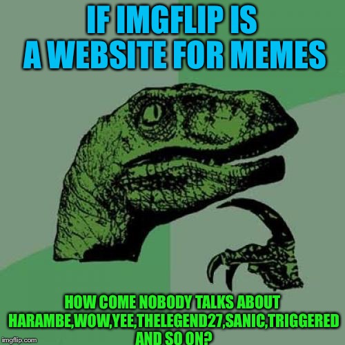 Philosoraptor | IF IMGFLIP IS A WEBSITE FOR MEMES; HOW COME NOBODY TALKS ABOUT HARAMBE,WOW,YEE,THELEGEND27,SANIC,TRIGGERED AND SO ON? | image tagged in memes,philosoraptor | made w/ Imgflip meme maker