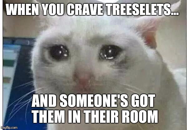 crying cat | WHEN YOU CRAVE TREESELETS... AND SOMEONE'S GOT THEM IN THEIR ROOM | image tagged in crying cat | made w/ Imgflip meme maker