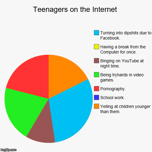 image tagged in pie charts,you can't handle the truth | made w/ Imgflip chart maker