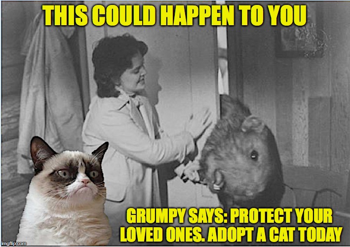 Public Service Message From Grumpy | THIS COULD HAPPEN TO YOU; GRUMPY SAYS: PROTECT YOUR LOVED ONES. ADOPT A CAT TODAY | image tagged in grumpy cat,pests | made w/ Imgflip meme maker